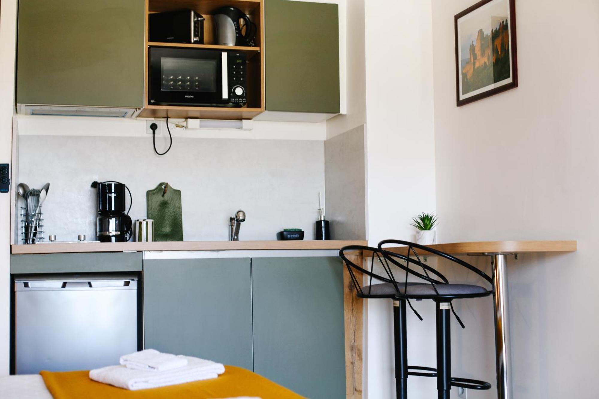 Studio avec parking vue sur la Cité de Carcassonne Extérieur photo